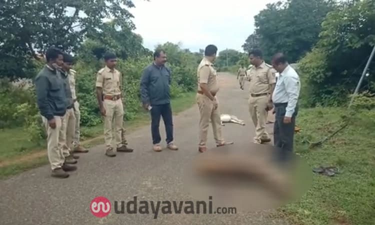 ಜಿಂಕೆ ಬೇಟೆಯಾಡಿದ್ದ ಕಾಡುಗಳ್ಳನಿಗೆ ಗುಂಡೇಟು: ಮೂವರು ಪರಾರಿ