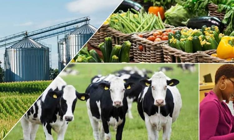 ಕೃಷಿ ಆಧಾರಿತ ಕೈಗಾರಿಕೆಗಳು ಯಾಕೆ ಬೇಕು?