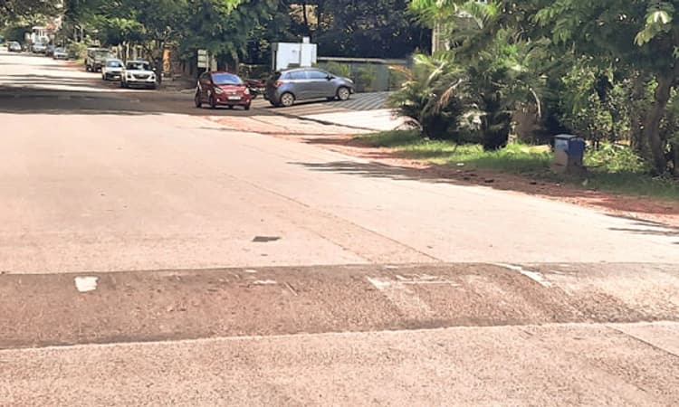 ಬಣ್ಣ ಕಳೆದುಕೊಂಡಿವೆ ಝೀಬ್ರಾ ಕ್ರಾಸ್‌, ಹಂಪ್ಸ್‌