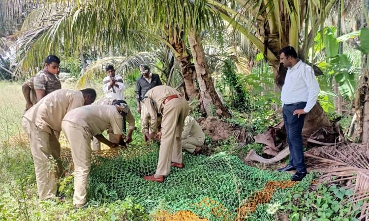 ನಾಲೆಗೆ ನೀರು ಸ್ಥಗಿತ: ಮೊಸಳೆ ಸೆರೆಗೆ ಕಾರ್ಯಾಚರಣೆ