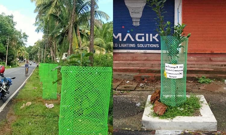 ದೇಣಿಗೆ ಸಂಗ್ರಹಿಸಿ ವನಮಹೋತ್ಸವ ಸಂಭ್ರಮ