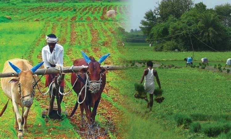 ರೈತರ ಆದಾಯ ಹೆಚ್ಚಳಕ್ಕೆ  ಸಮಿತಿ ರಚನೆ: ಮುಖ್ಯಮಂತ್ರಿ 