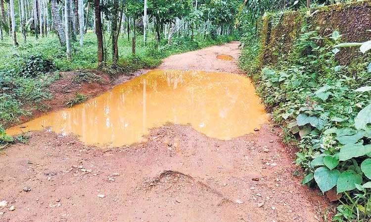 ಬೆಳೆಯುತ್ತಿರುವ ಗುತ್ತಿಗಾರಿಗೆ ಬೇಕಿದೆ ಹಲವು ಸೌಲಭ್ಯ