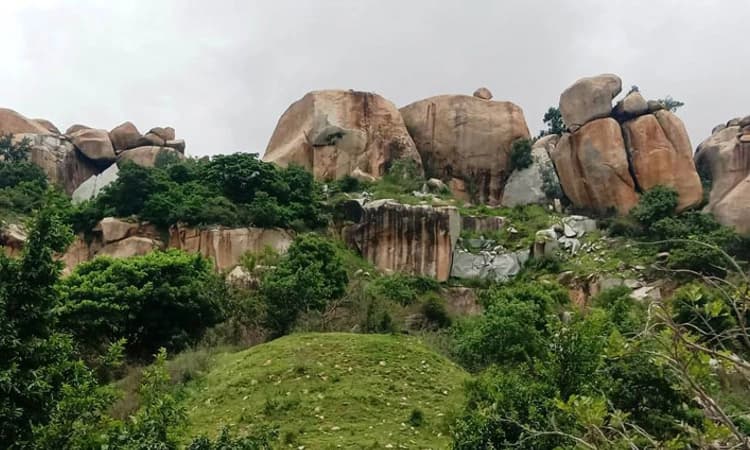 ಕೊಯಿರಾ ಬೆಟ್ಟದಲ್ಲಿ ಕಲ್ಲು ಗಣಿಗಾರಿಕೆಗೆ ವಿರೋಧ