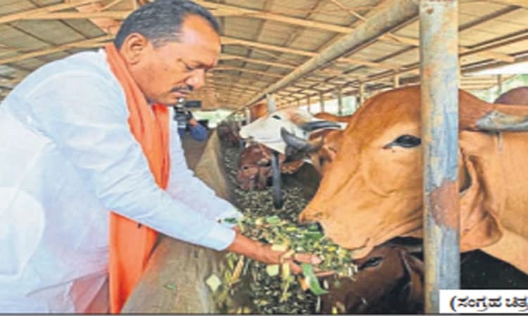 ಪ್ರಭುಗೆ ಮತ್ತೆ ಒಲಿಯುತ್ತಾ ಪಶು ಇಲಾಖೆ?