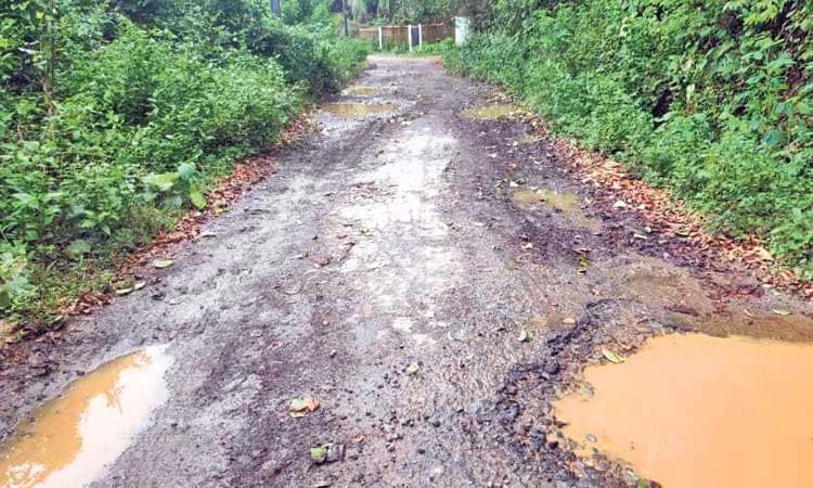 ಕೊಡ್ಮಾಣ್‌ : ರಸ್ತೆ ಸಮಸ್ಯೆಗಳೇ ಗ್ರಾಮದ ಸವಾಲು