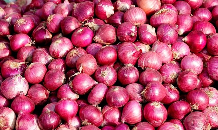 Govt extends ban on onion exports till further orders