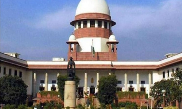 Bike Bot scam: SC grants pre-arrest bail to Bhasin group director in money laundering case
