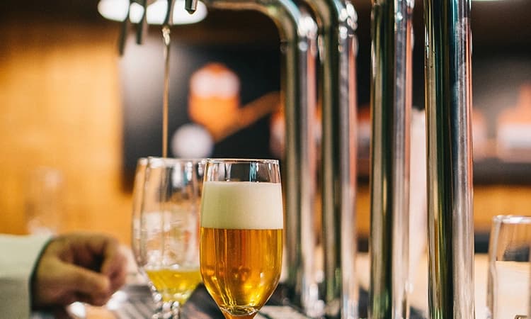Do you drink Beer everyday? Here’s what happens to your body