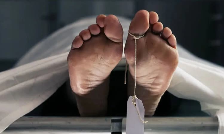 Man killed in wild elephant attack in Kerala