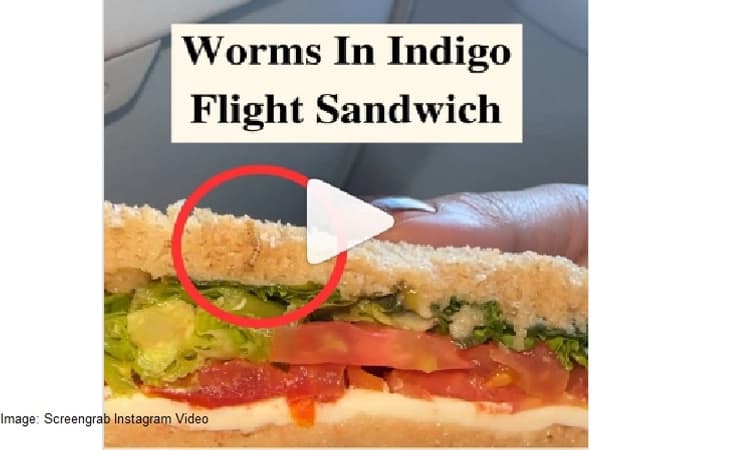 IndiGo passenger finds worm in sandwich served onboard Delhi-Mumbai flight
