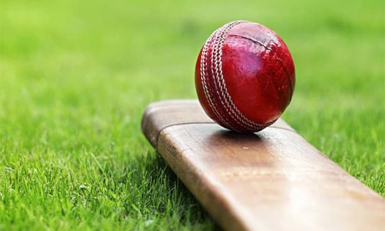 Features of the game Cricket and betting on the game