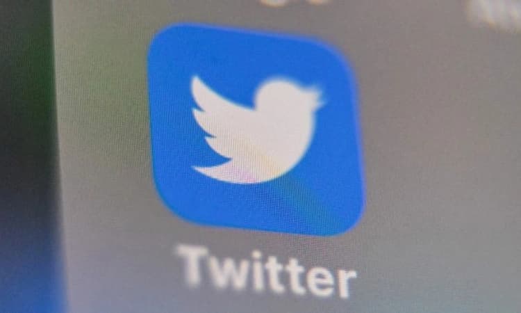 Twitter abuse victims fear Musk&#8217;s plans, but may not quit