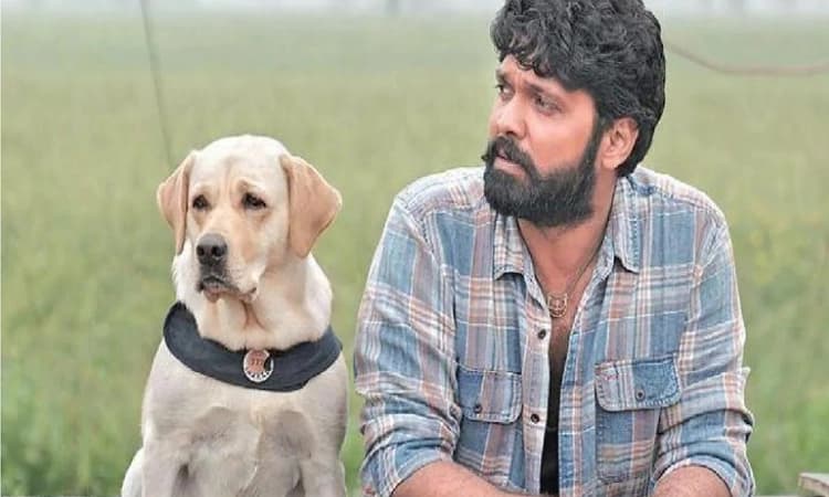 Rakshit Shetty&#8217;s &#8216;777 Charlie&#8217; to release in June