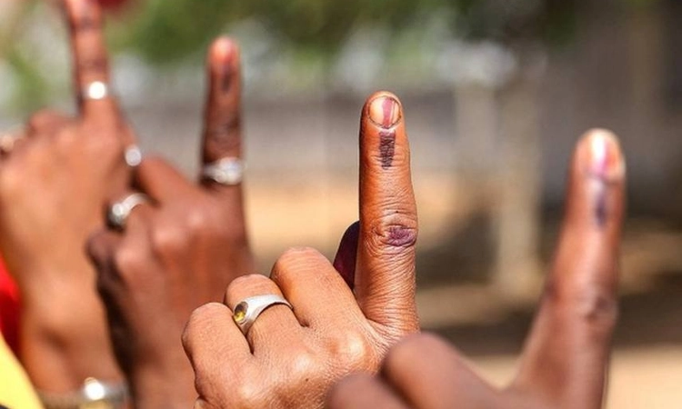 LS polls: Prestigious South Chennai to see DMK, AIADMK, BJP face-off