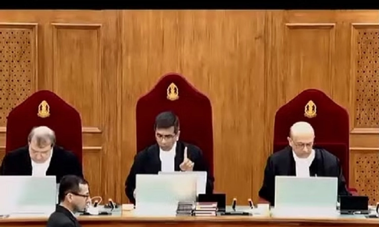 How will public health infrastructure run: SC asks protesting doctors to resume work