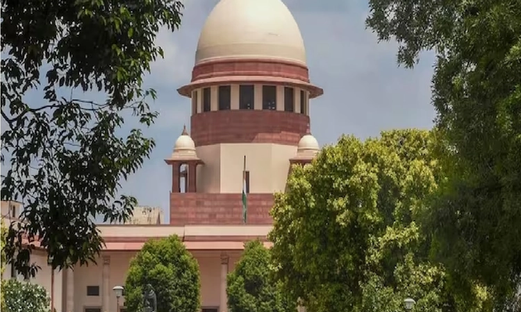 “Bail is rule and jail an exception” principle applies even to offences under special statutes like PMLA: SC