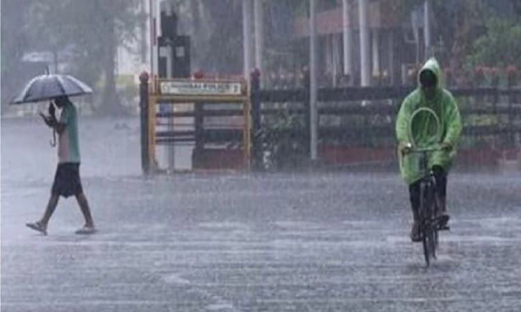 Heavy rains pound Navsari and Valsad districts in Gujarat, rivers in spate; 1,000 people evacuated