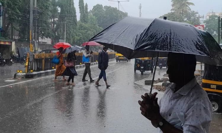 Rain Alert: Widespread rain expected in K’taka coastal districts until July 25