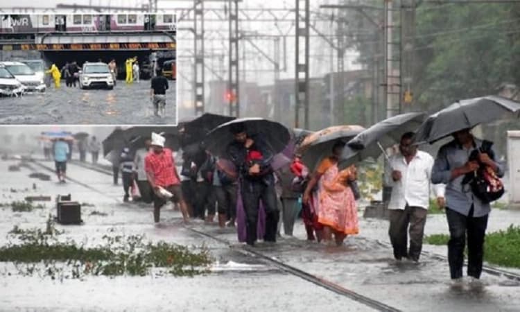 Heavy rain: Local train services hit after heavy rains in Mumbai; schools, colleges shut for 1st session