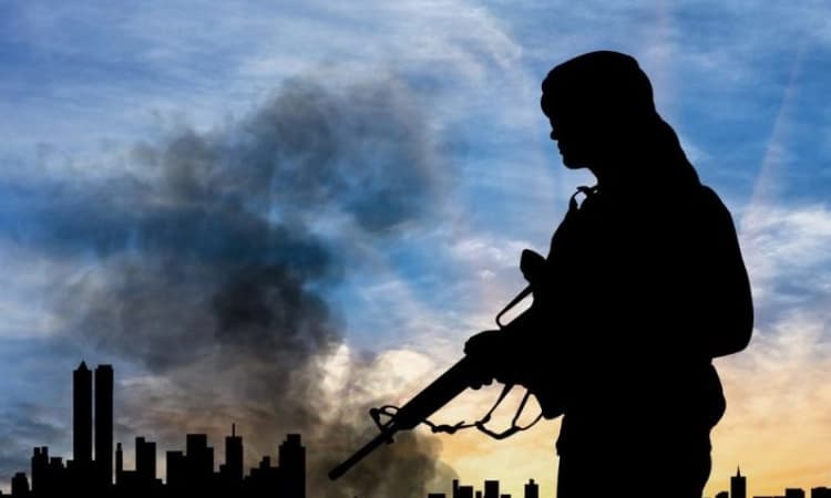 J-K: 2 terrorists killed in Baramulla encounter