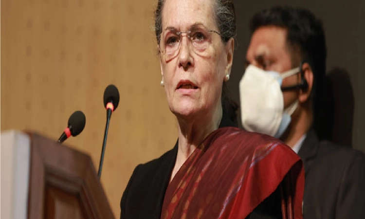 Very important elections to save democracy, Constitution; play your part: Sonia Gandhi to Delhiites