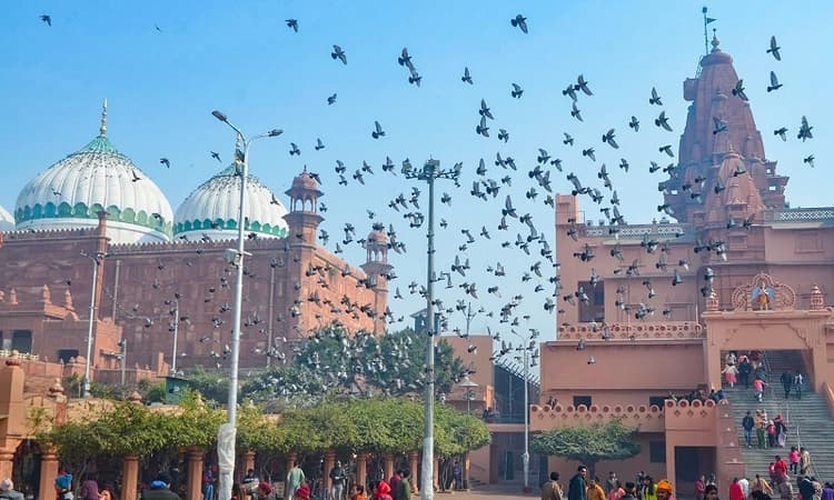 Shahi Idgah row: ‘1968 compromise’ a ‘fraud’ by Sunni Central Waqf Board, Hindu side tells HC