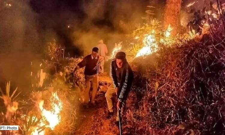 Massive forest fire reaches Nainital’s High Court colony, Army called in