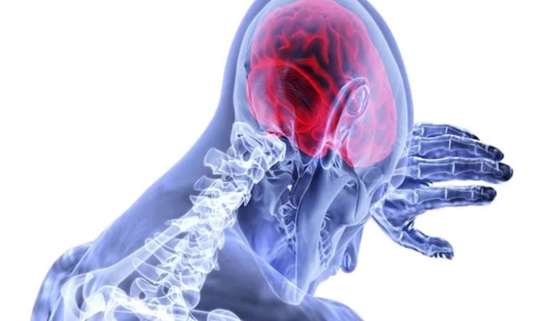 Japanese encephalitis virus can cause deadly brain swelling – but in less than 1% of cases