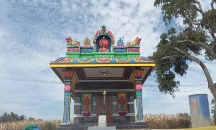 Thieves break into newly inaugurated temple in Hunsur; cash, gold stolen