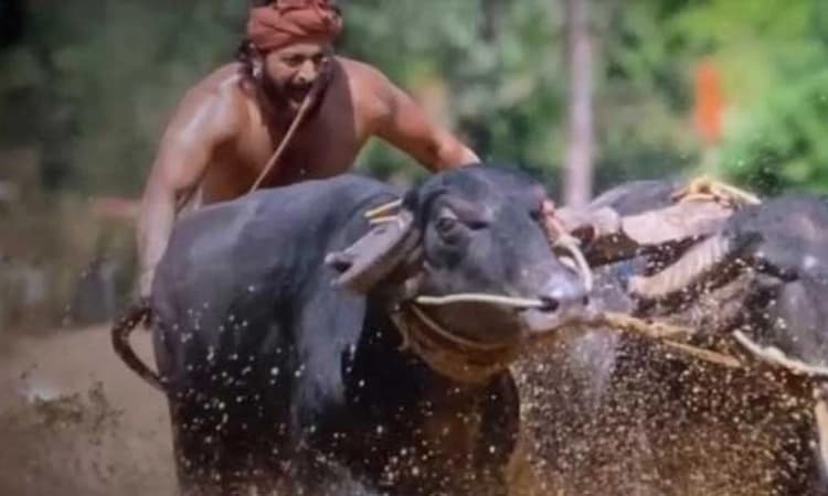 Rishab Shetty&#8217;s Kantara sent for Oscars 2023 consideration