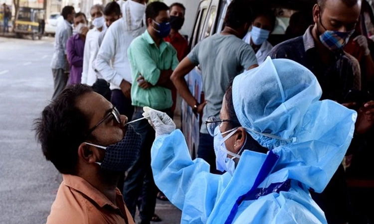 India records 625 fresh COVID-19 cases, no death