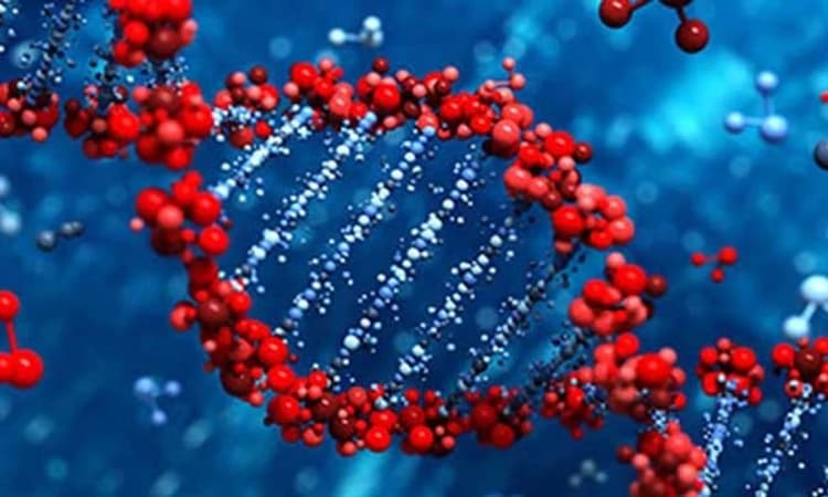 DNA is often used in solving crimes. But how does DNA profiling actually work?