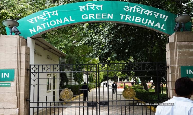NGT directs illegal coke plants in Meghalaya to pay a fine of over Rs 4.75 crore