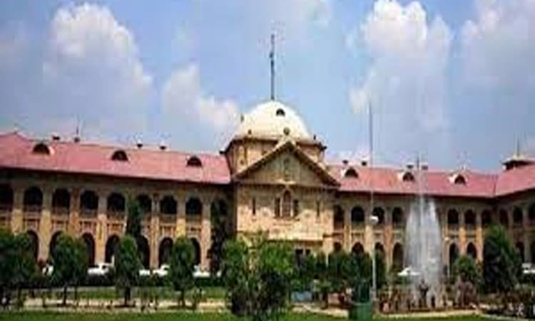 Matrimonial cases being exaggerated manifold with pungent allegations: Allahabad HC