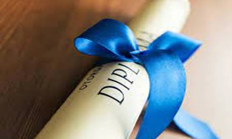 Why award honorary doctorates, and what do the choices say about our universities?