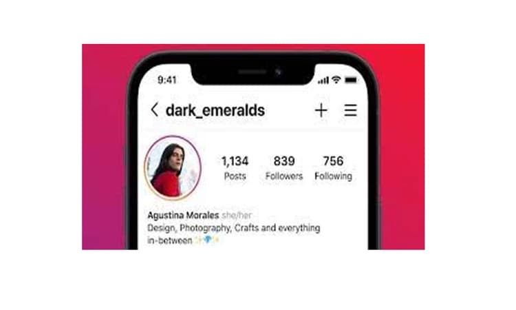 Instagram’s new feature allows users to add pronouns to their profile