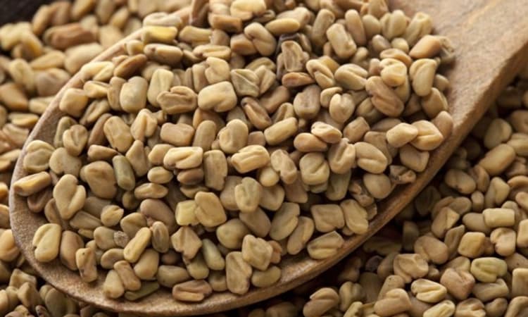 Fenugreek for weight loss, boost metabolism