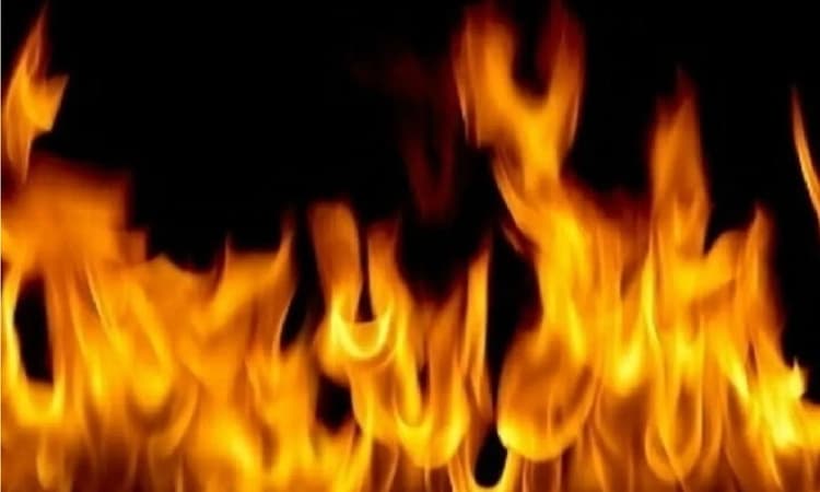 Kolkata woman takes father out on dinner, gets him drunk and sets him on fire