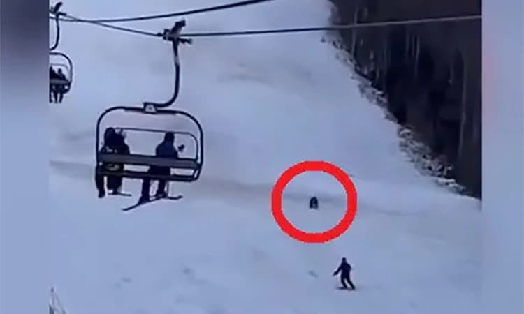 Video of a skier being chased by a bear goes viral