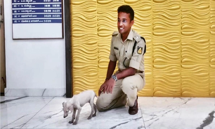 Meet Krish, first Mudhol Hound puppy to join Karnataka police