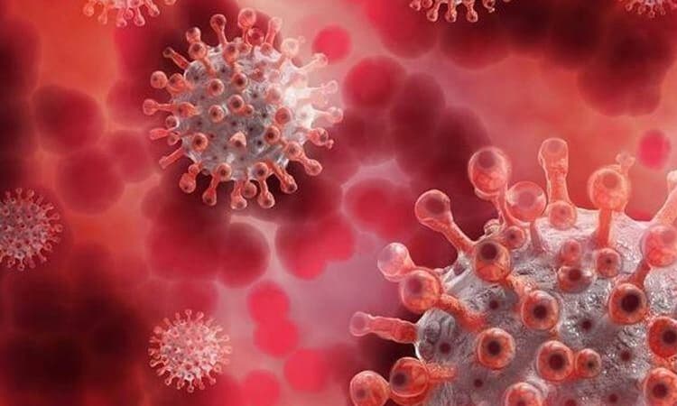 New tool predicts changes that may make COVID variants more infectious