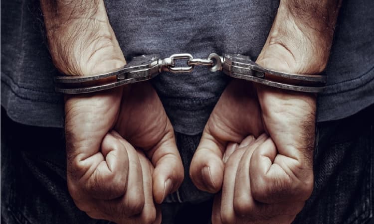 Bengaluru: Rs 1 crore hydro cannabis seized; 4 including 2 Iranians held