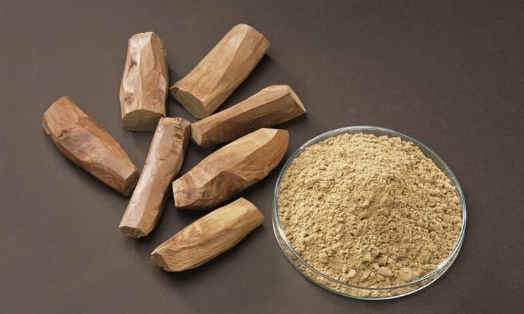 Record money received through online sandalwood auction in Kerala; one tree alone fetches Rs 1.25 crore