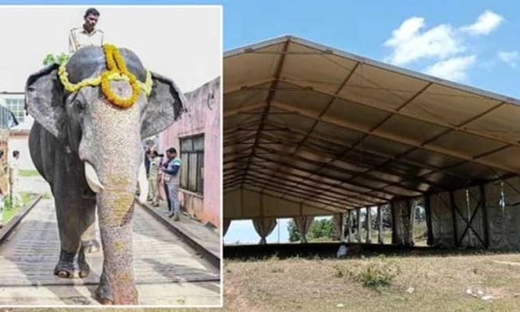 Gajapayana: Kickstarting Mysuru Dasara with traditional splendor