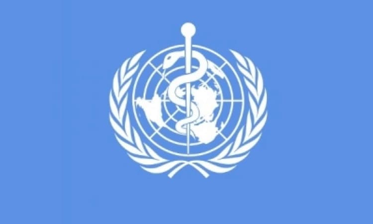 India on track to achieve WHO-recommended doctor-population ratio: NITI Aayog member Vinod Paul