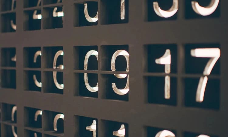 Why animals recognise numbers but only humans can do maths