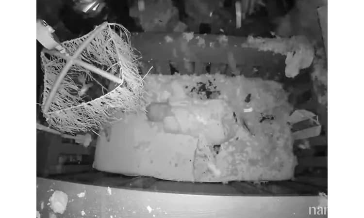 Video: Tree crashes over a crib as baby sleeps, he escapes without a scratch