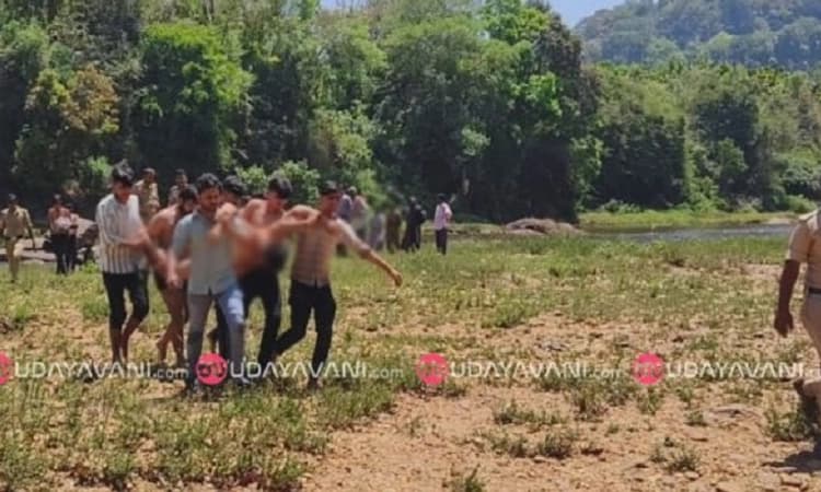 Two Rajasthani youth drown in Bhadra River