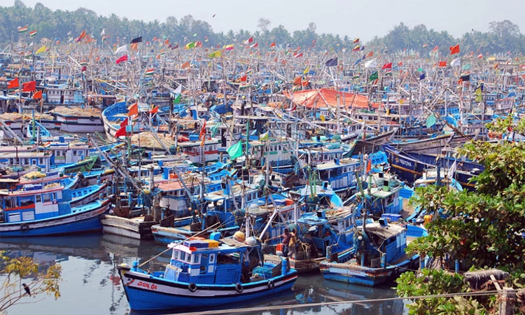 Karnataka Budget 2025-26: Key allocations for fisheries, coastal districts of DK and Udupi